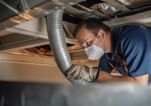 Reducing Pet Dander and Pollen Indoors With Proper Air Duct Sealing in Apopka